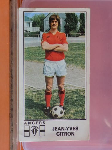 Image panini football 13 - image,