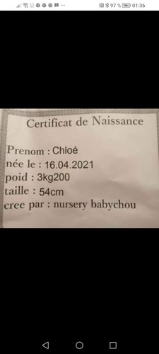 Bébé reborn neuf vient une - vient, d