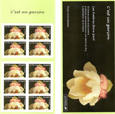 carnets bc 3805.cest un garcon.neuf non plié.