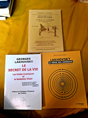 Lot livres georges - livres,