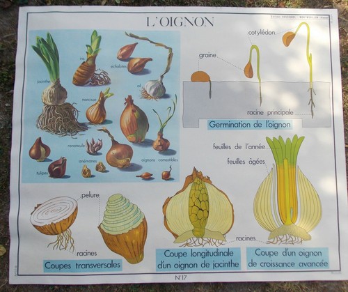 Ancienne grande affiche - grande, carte