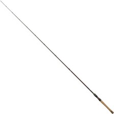 DAIWA 21 STEEZ SC C66ML-G Bait