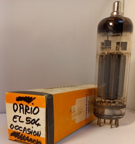 Occasion el504 dario - occasion,