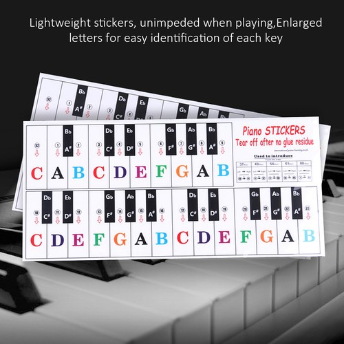 Piano key sticker orgue - piano,