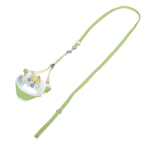 Laisse pour chat - chat, promenade