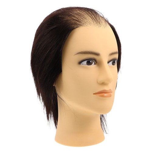 Tête mannequin homme pour - mannequin,