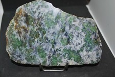 VERT D'OREZZA  ( HAUTE CORSE )