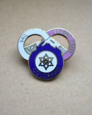 Insigne, broche station de ski