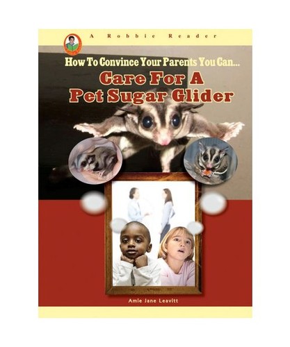 Care for pet - sugar, glider
