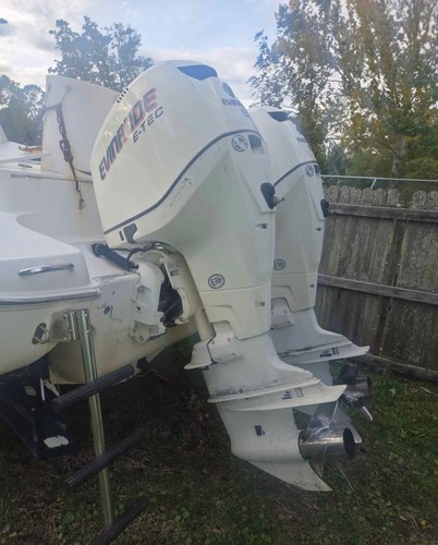 Moteur hors bord evinrude - moteur,