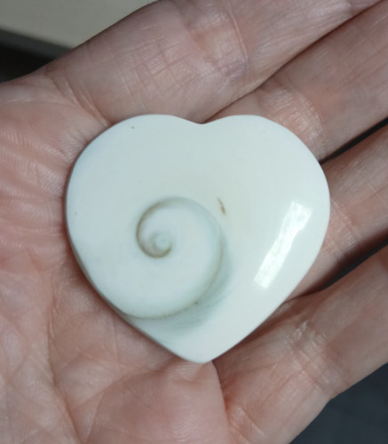 Coeur oeil shiva - coeur,