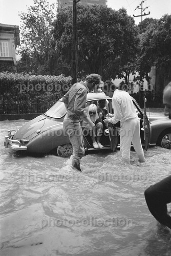 Sylvie vartan exclusive - vartan,