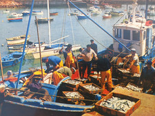 Ancienne carte postale Quiberon Port Maria Sardinier Bernard Marie José Iris JOS
