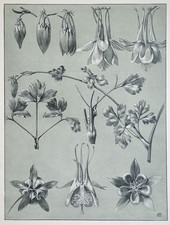 Mathurin MEHEUT Et la