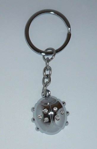 Porte clé bonheur - porte,