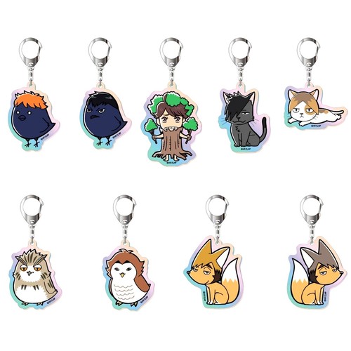 Lot haikyu porte clés - de, 9