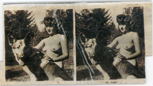 Photo photographie vue - photo,