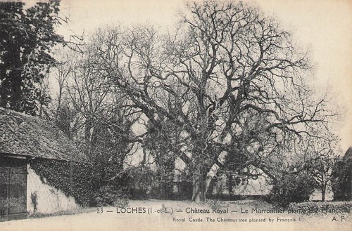 Loches château royal le - château,