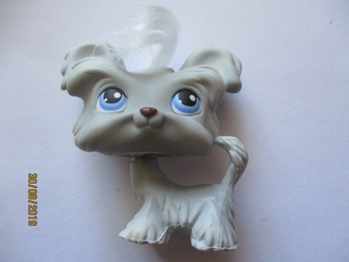 Petshop chien yorkshire - chien,