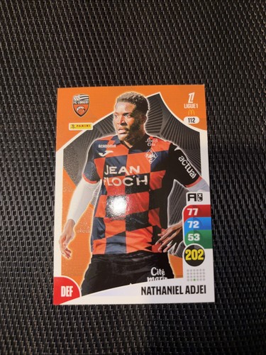 Panini adrenalyn 2025 - adrenalyn,