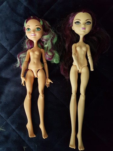 Lot poupées ever after - after, high