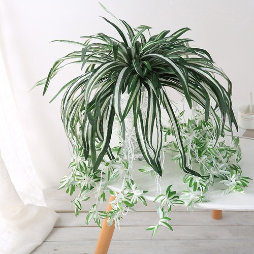 Plantes artificielles - plantes,