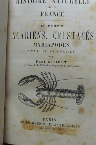 Histoire naturelle la - histoire,