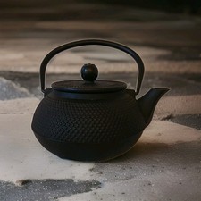Théière Japonaise en Fonte