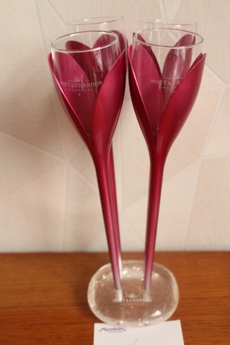Lot porte flute coupe - porte,