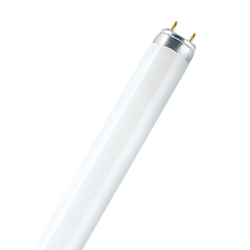 Osram tube fluorescent - osram, lumilux