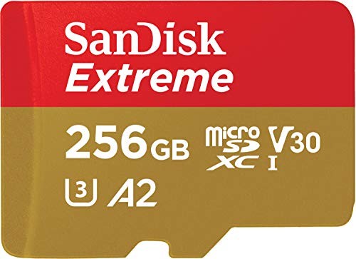 Carte micro 256 - carte, sandisk