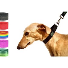 Collier Martingale - Collier