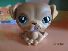 Petshop Chien Carlin #786 /