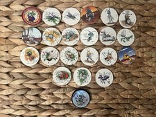 21 Pog Bugs + Kini Neuf