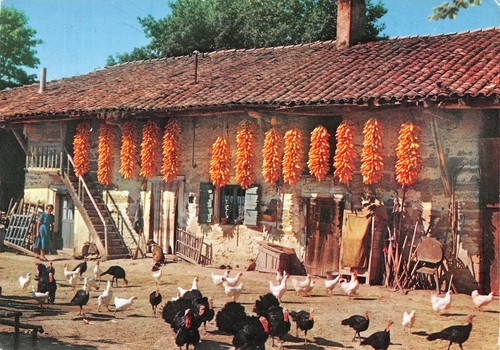 01-FERME