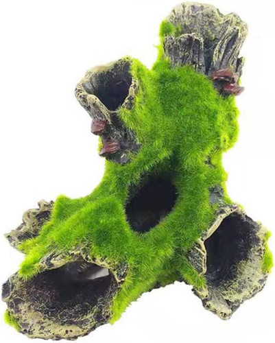 Aquarium tronc arbre - aquarium, d'arbre