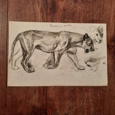 Dessin Ancien Animalier Fond