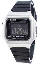 Casio Illuminator Alarm