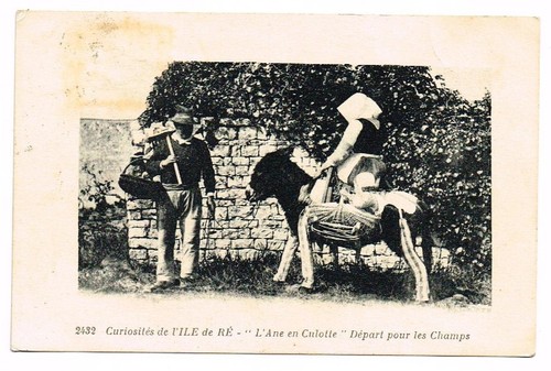 Cpa île ré - Île, de