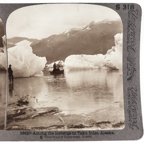 Taku tidewater glacier inlet - taku,