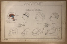 Planche 19e siècle dessin