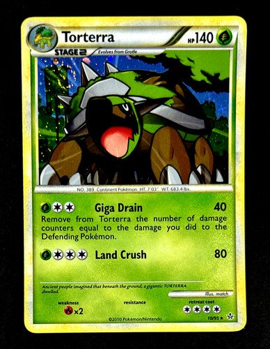 2010 pokemon torterra - 2010,