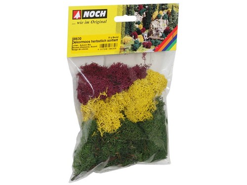 Noch assortiment mousse lichen - mousse,