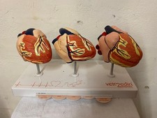 MODÈLE ANATOMIQUE DE CŒURS DE CHIEN POUR ÉTUDIANT VÉTÉRINAIRE OBJET INSOLITE