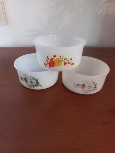 Lot ramequins arcopal - lot,