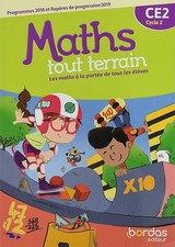 Maths tout terrain CE2: fichier de l'élève
