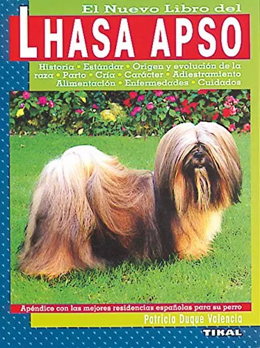 Lhasa apso patricia duque - lhasa,