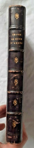 Chasse chien arrêt - chasse,