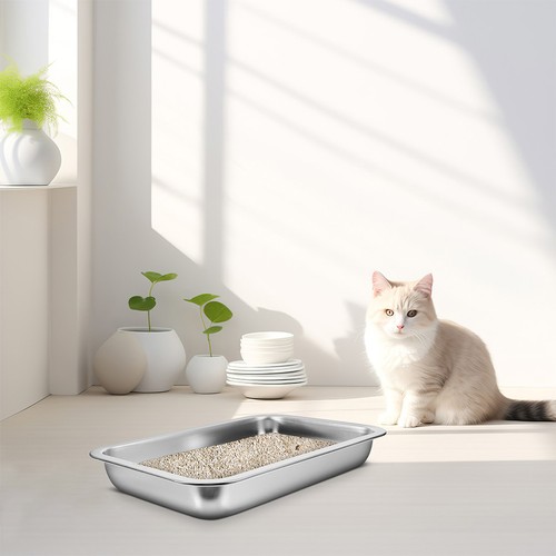 Caisse litiere pour chat bac - caisse,