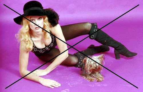 Photo sylvie vartan - photo,